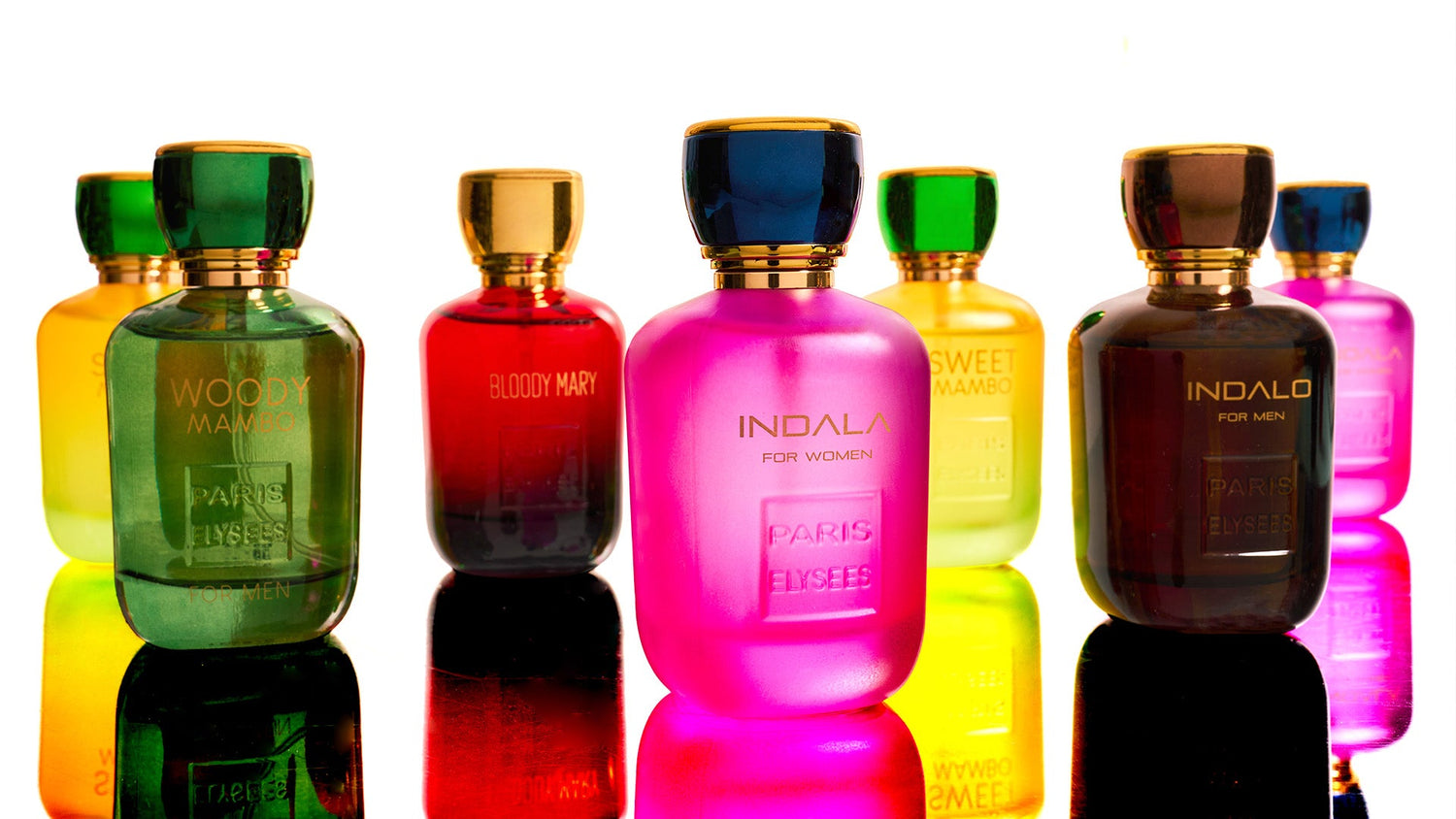 Signature collection Femme