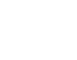 30th Anniversary (1991 - 2021) | Paris Elysees Parfums