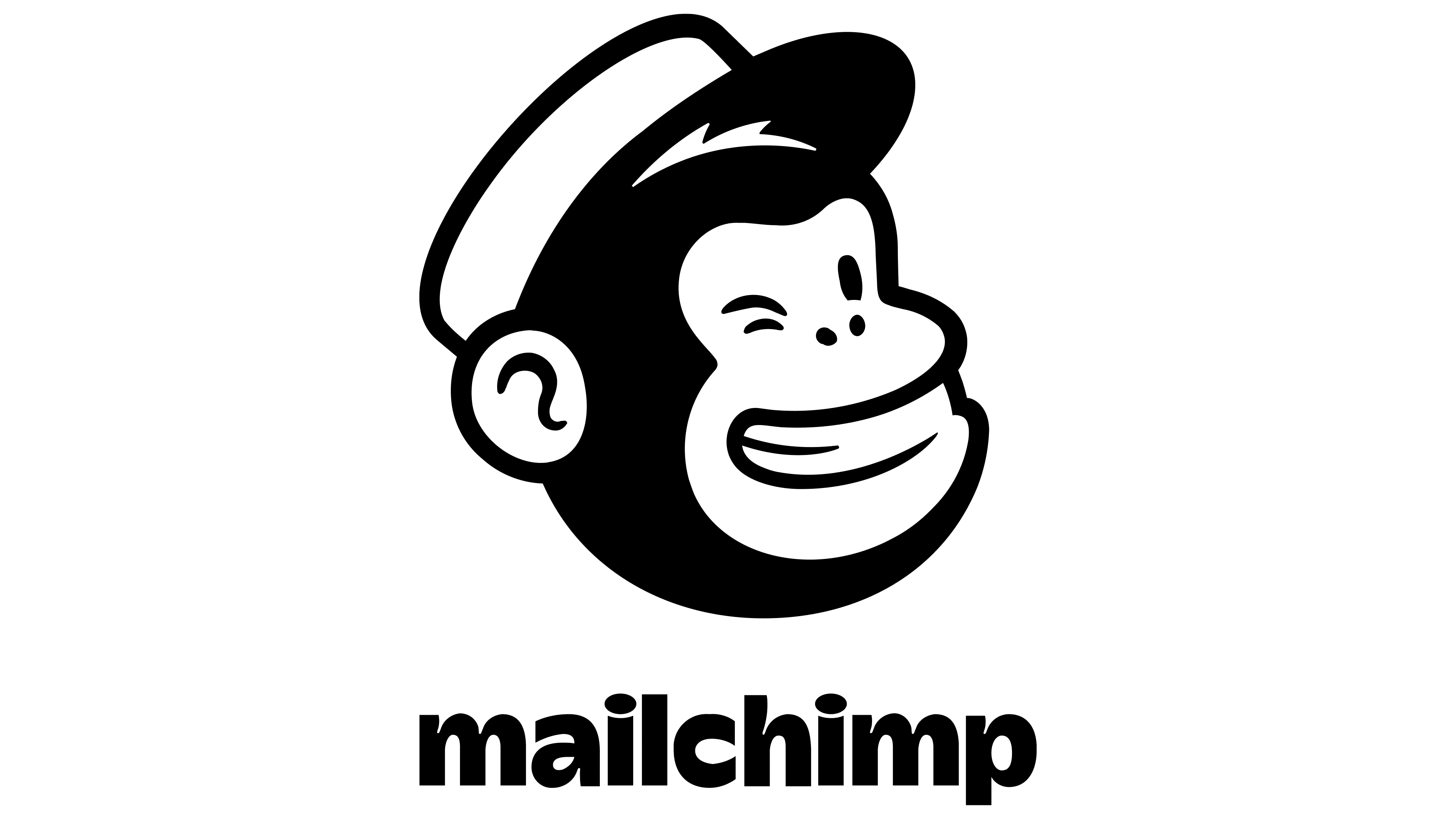 Mailchimp Newsletter Provider