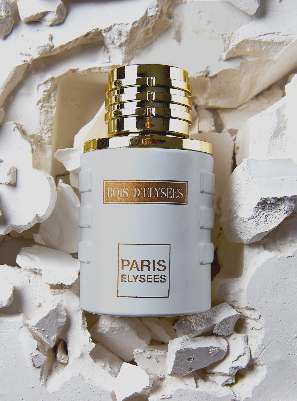 Bois d'Elysees Perfume for Men | Paris Elysees Parfums